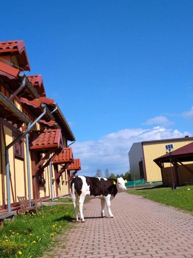 Pensjonat Przy Stajni Kierzkowo  Экстерьер фото