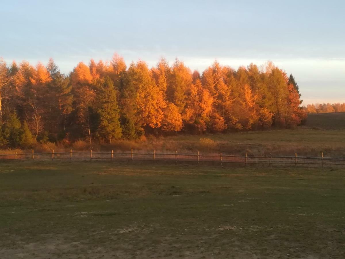 Pensjonat Przy Stajni Kierzkowo  Экстерьер фото